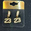 Iced Carat MJ23 Stainless Earring