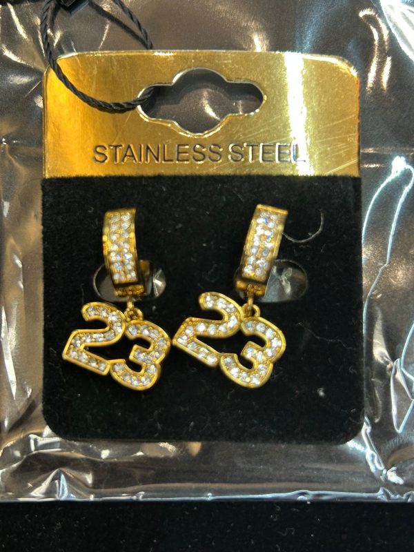 Iced Carat MJ23 Stainless Earring